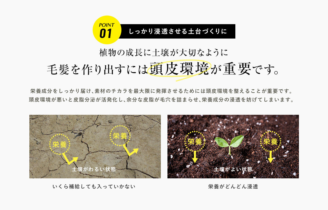 しっかり浸透させる土台づくりに。植物の成長には土壌が大切なように毛髪を作り出すには頭皮環境が重要です。