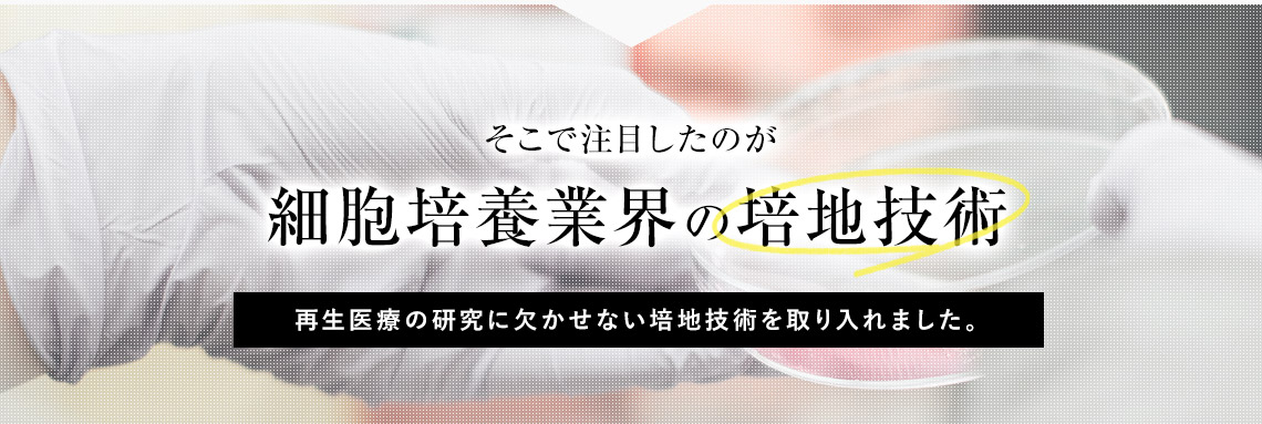細胞培養業界の培地技術に注目。再生医療の研究に欠かせない培地技術を取り入れました。