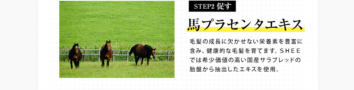 馬プラセンタエキスで促す。毛髪の成長に欠かせない栄養素を豊富に含み、健康的な毛髪を育てます。