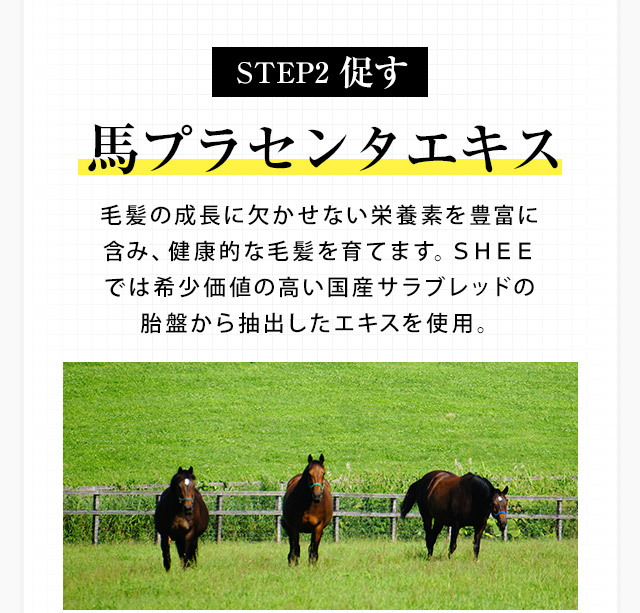 馬プラセンタエキスで促す。毛髪の成長に欠かせない栄養素を豊富に含み、健康的な毛髪を育てます。