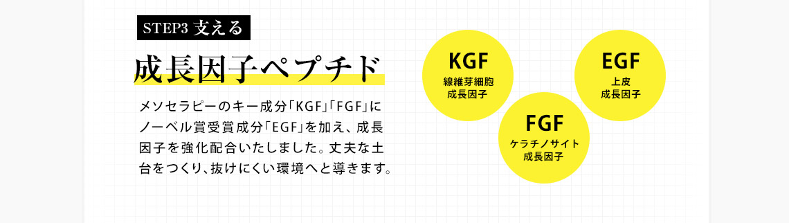 成長因子「KGF」「FGF」「EGF」で支える。メソセラピーのキー成分「KGF」「FGF」にノーベル賞受賞成分「EGF」を加え、成長因子を強化配合。丈夫な土台をつくり、抜けにくい環境へと導きます。