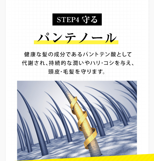 パンテノールで守る。持続的な潤いやハリ・コシを与え、頭皮・毛髪を守ります。